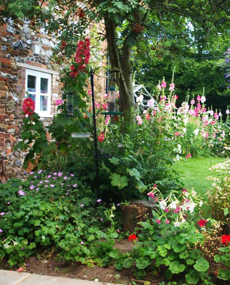 Norfolk Coastal Cottage